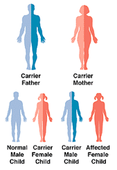 family tree showing genetic diseases