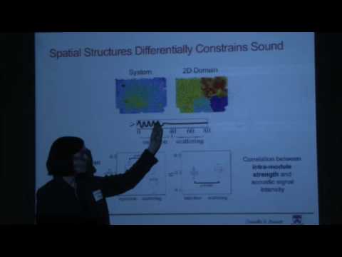 Characterizing force-chain network architecture in granular materials Thumbnail