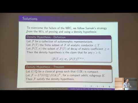 Golden gates in PU(n) and the density hypothesis Thumbnail