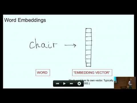 Neural Models for Speech and Language: Successes, Challenges, and the Relationship to Computational Models of the Brain Thumbnail