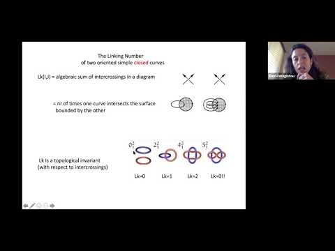 Topological methods for characterizing the relationship between polymer entanglement and viscoelasticity Thumbnail