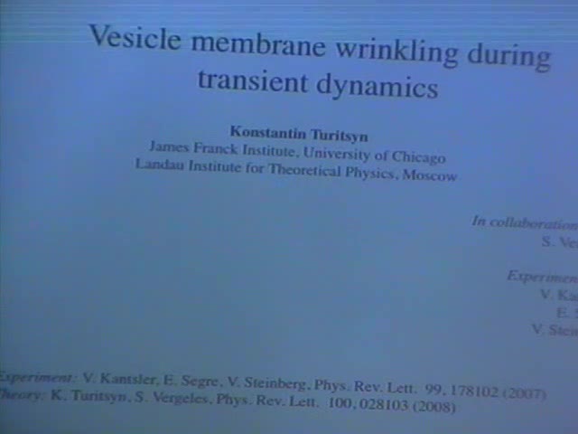 Wrinkling of vesicles during transient dynamics in elongational flow  Thumbnail