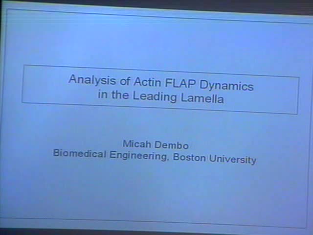 Analysis of Actin FLAP Dynamics in the Leading Lamella Thumbnail