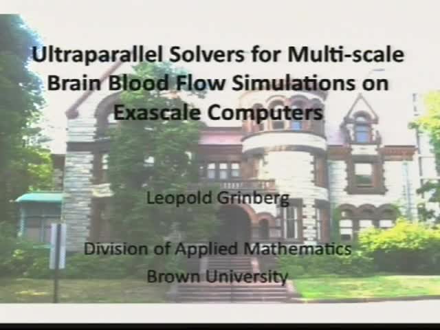 Ultraparallel solvers for multi-scale brain blood flow
simulations on exascale computers Thumbnail