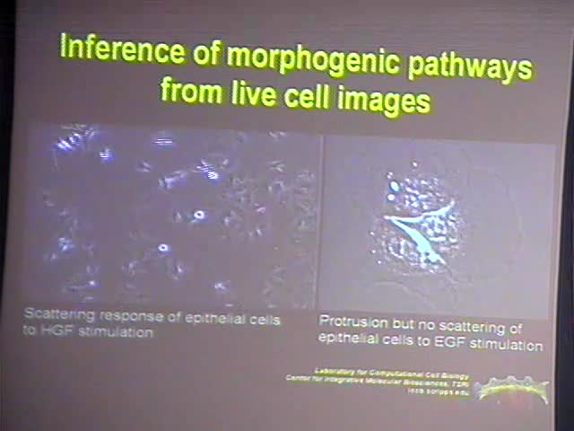 Inference of Morphogenic Pathways from Live Cell Images Thumbnail