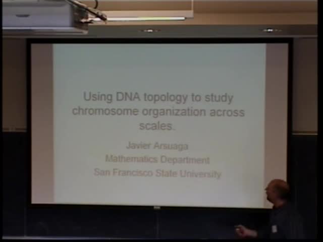 Using topology to understand chromosome organization across organisms Thumbnail