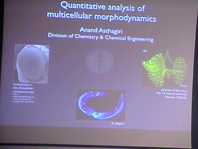 Predicting Quntitative Diversification of Multicellular Phenotype Thumbnail