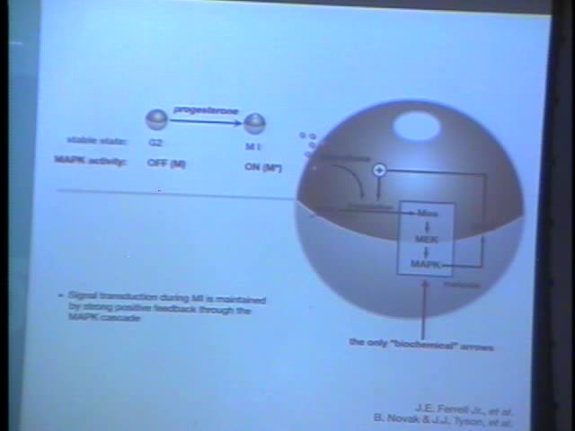 Response Tuning Through Specific Feedback Architectures Thumbnail