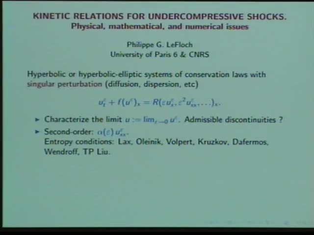 Kinetic relations for undercompressive shocks. Physical, mathematical, and numerical issues Thumbnail