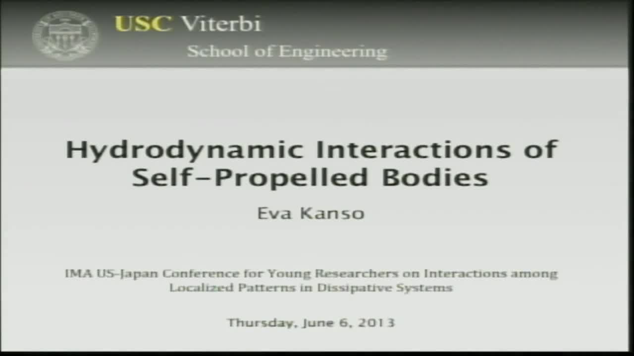 Hydrodynamic Interactions of Self-Propelled Bodies Thumbnail