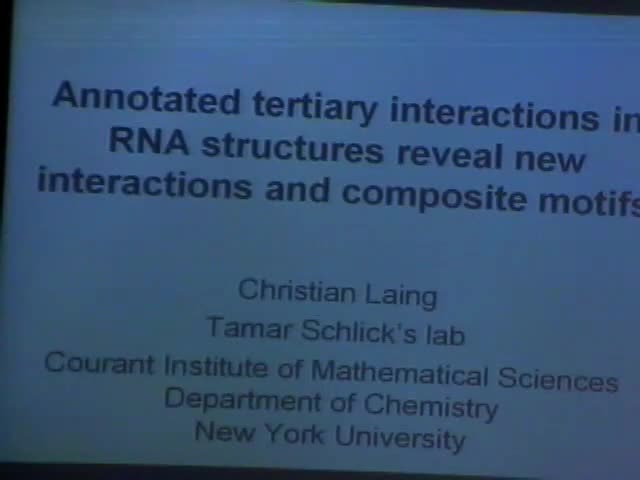 Annotated Tertiary Interactions in RNA Structures Reveal New Interactions, Correlations in Motifs and Composite Motifs Thumbnail