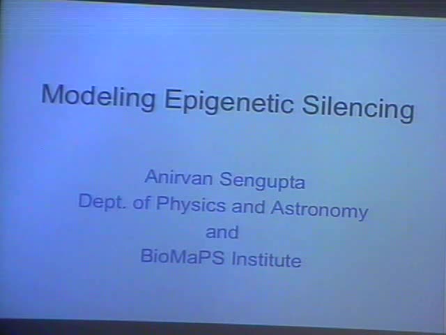 Modeling Epigenetic Silencing Thumbnail