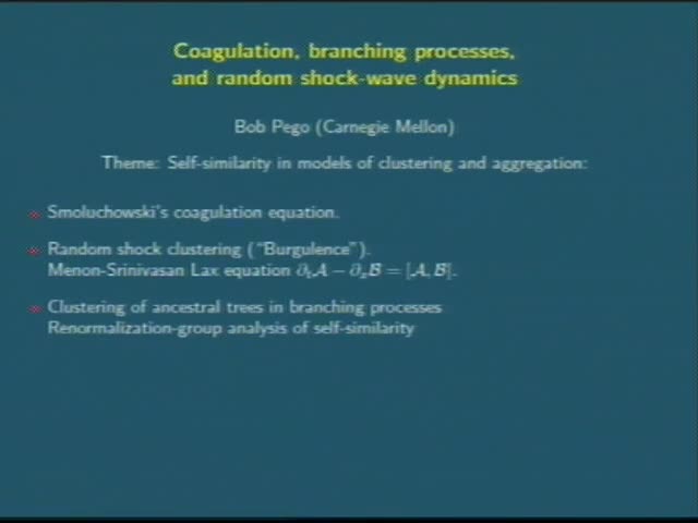 (Theme 2) Coagulation, branching processes, and random shock-wave dynamics  Thumbnail