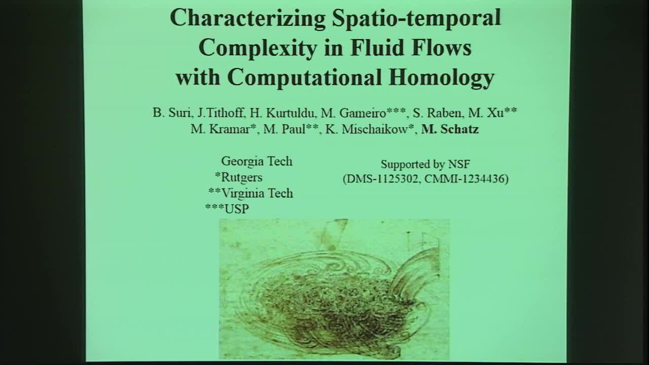 Characterizing Spatio-temporal Complexity in Fluid Flow Using Computational Homology Thumbnail