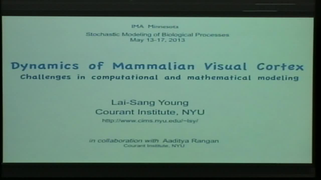 Dynamics of Mammalian Visual Cortex: Challenges in Computational and Mathematical Modeling Thumbnail
