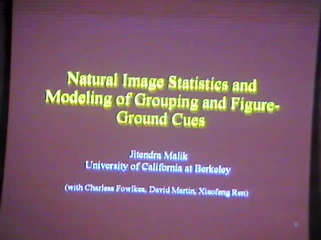Natural Image Statistics Enable Us to Quantitatively Model Visual Grouping and Figure-ground Cues Thumbnail