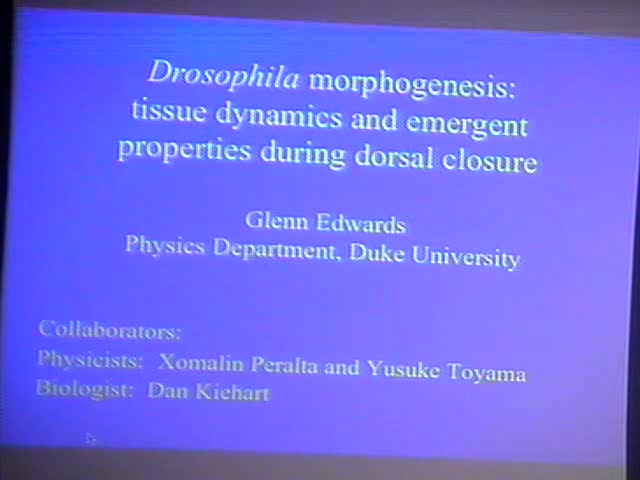 Drosophila Morphogenesis:  Tissue Dynamics and Emergent Properties During Dorsal Closure
 Thumbnail