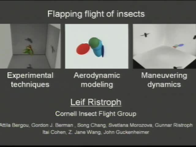 How flying insects keep stable, up-right, and on-course

 Thumbnail