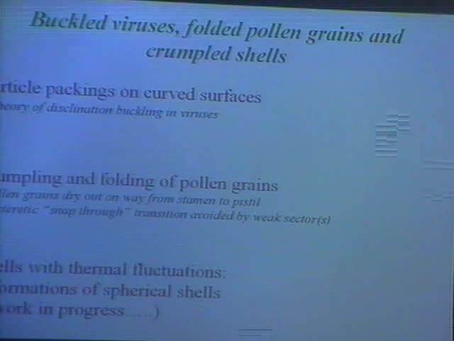 Buckled viruses, crumpled shells and folded pollen grains  Thumbnail