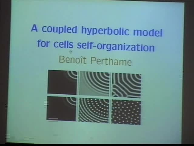 A coupled system of  elliptic/conservation law arising in cell self-organization Thumbnail