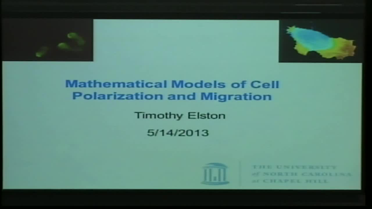 Mathematical Models of Cell Polarization and Migration Thumbnail