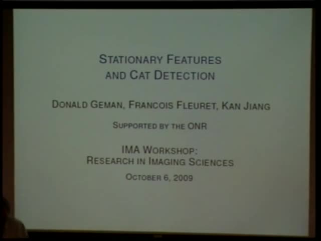 Stationary features and cat detection Thumbnail