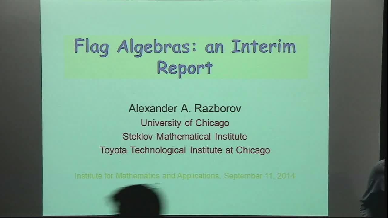 Flag Algebras: An Interim Report  Thumbnail