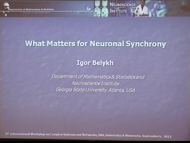 What Matters for  Neuronal Synchronization Thumbnail