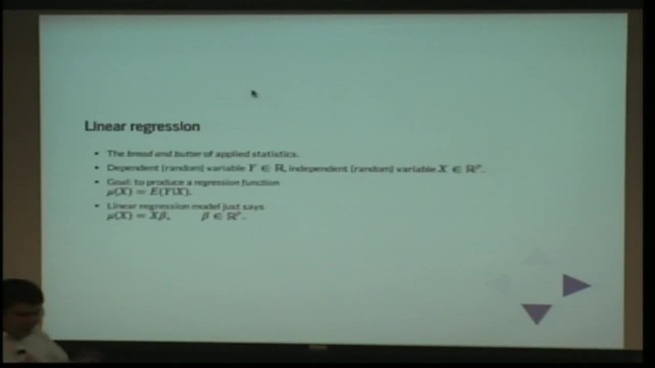 Topological Inference in fMRI / Dimension Reduction Thumbnail