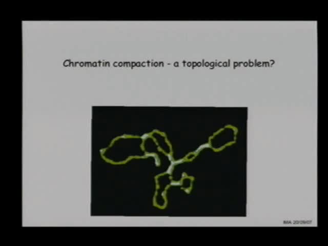 Chromatin Compaction as a Topological Problem Thumbnail