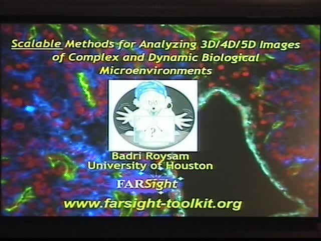 Scalable methods for analyzing 3D/4D/5D Images of Complex
and Dynamic Biological Microenvironments Thumbnail