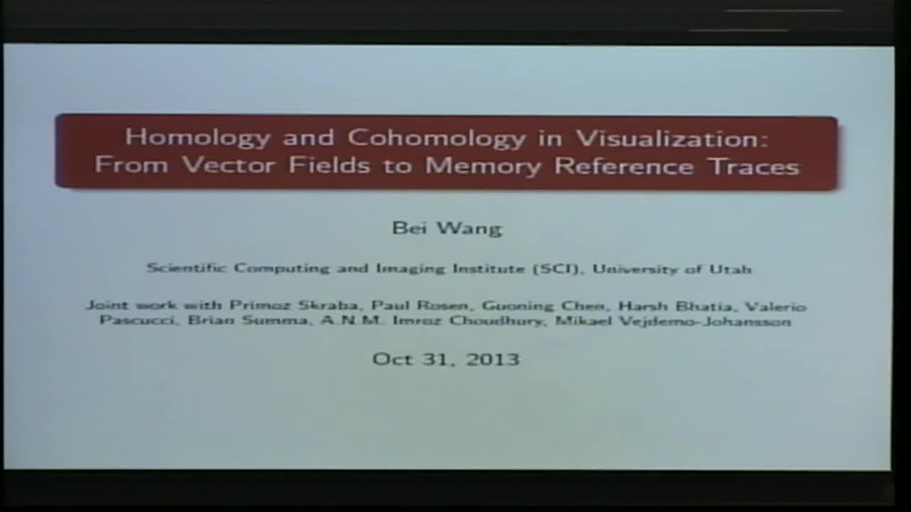 Homology and Cohomology in Visualization: From Vector Fields to Memory Reference Traces Thumbnail