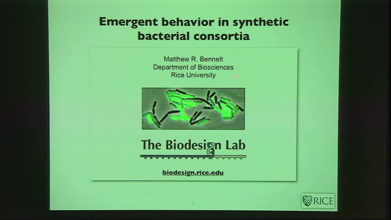 Regulatory Networks in Synthetic Microbial Consortia Thumbnail