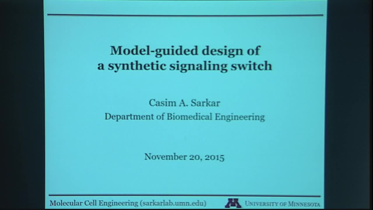 Model-guided Design of a Synthetic Signaling Switch Thumbnail