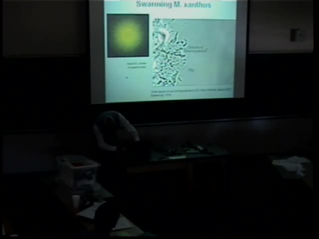 Modeling of bacterial swarming on different surfaces Thumbnail