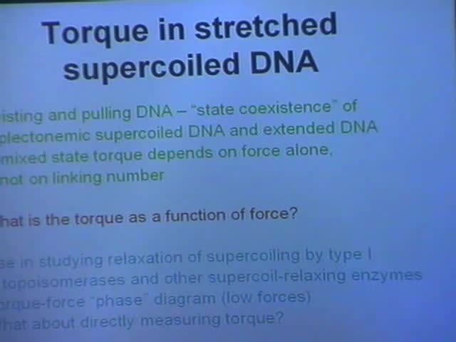 Torque in Stretched and Twisted DNA Thumbnail