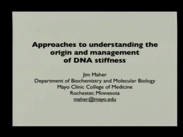 Approaches to Understanding the Origin and Management of DNA Stiffness Thumbnail