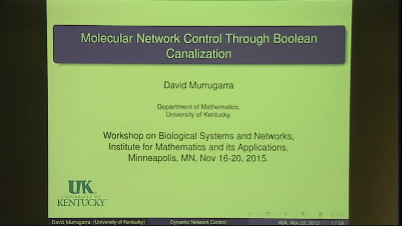 Molecular Network Control Through Boolean Canalization Thumbnail