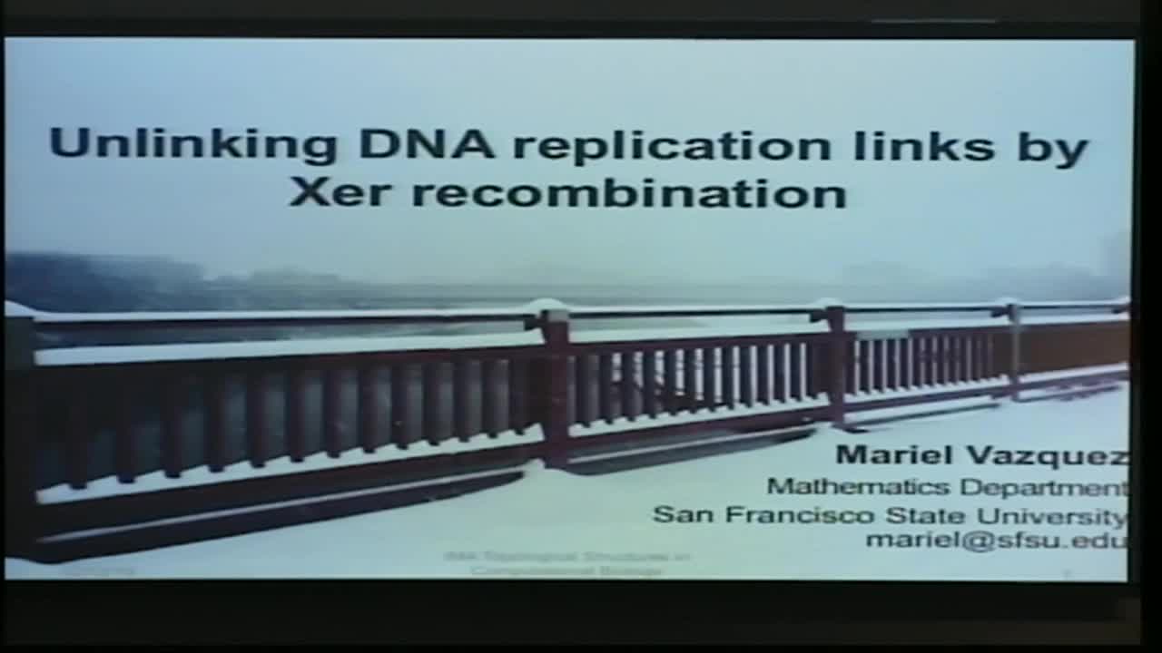 Unlinking DNA Replication Links by Xer Recombination Thumbnail