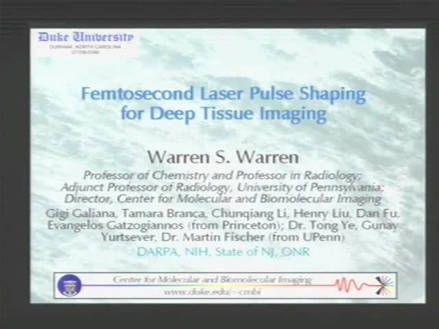 Applications of Femtosecond Laser Pulse Shaping to Deep Tissue Imaging Thumbnail
