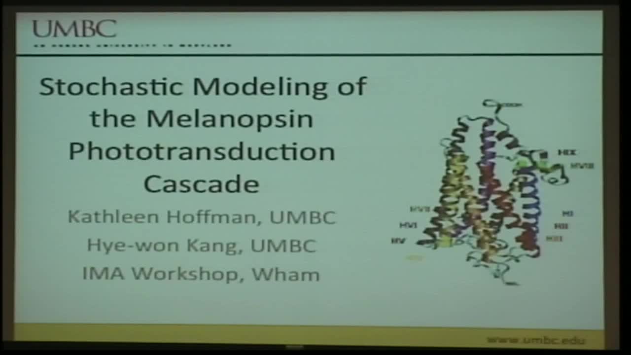 Stochastic Modeling of the Phototransduction Cascade for Melanopsin Thumbnail