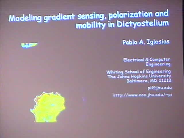 Modeling Chemotactic Gradient Sensing, Polarization and Motility in Dictyostelium discoideum Thumbnail