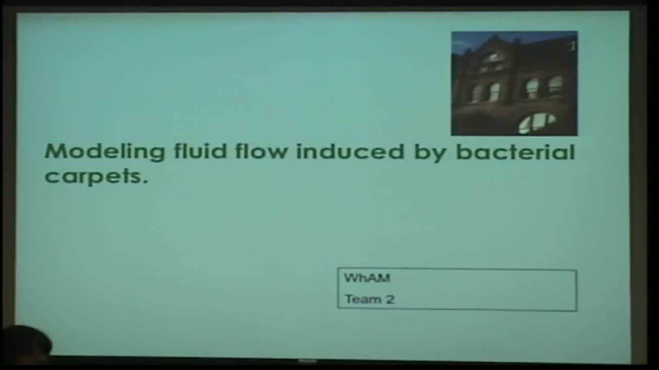Modeling Fluid Flow Induced by Bacterial Carpets Thumbnail