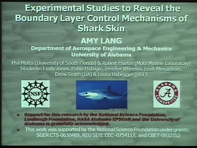 Experimental studies to reveal the boundary layer control mechanisms of shark skin Thumbnail
