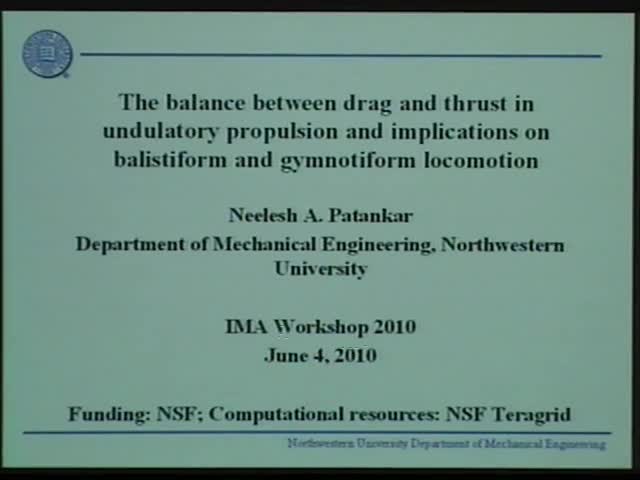 The balance between drag and thrust in undulatory propulsion
and implications on balistiform and gymnotiform locomotion
 Thumbnail