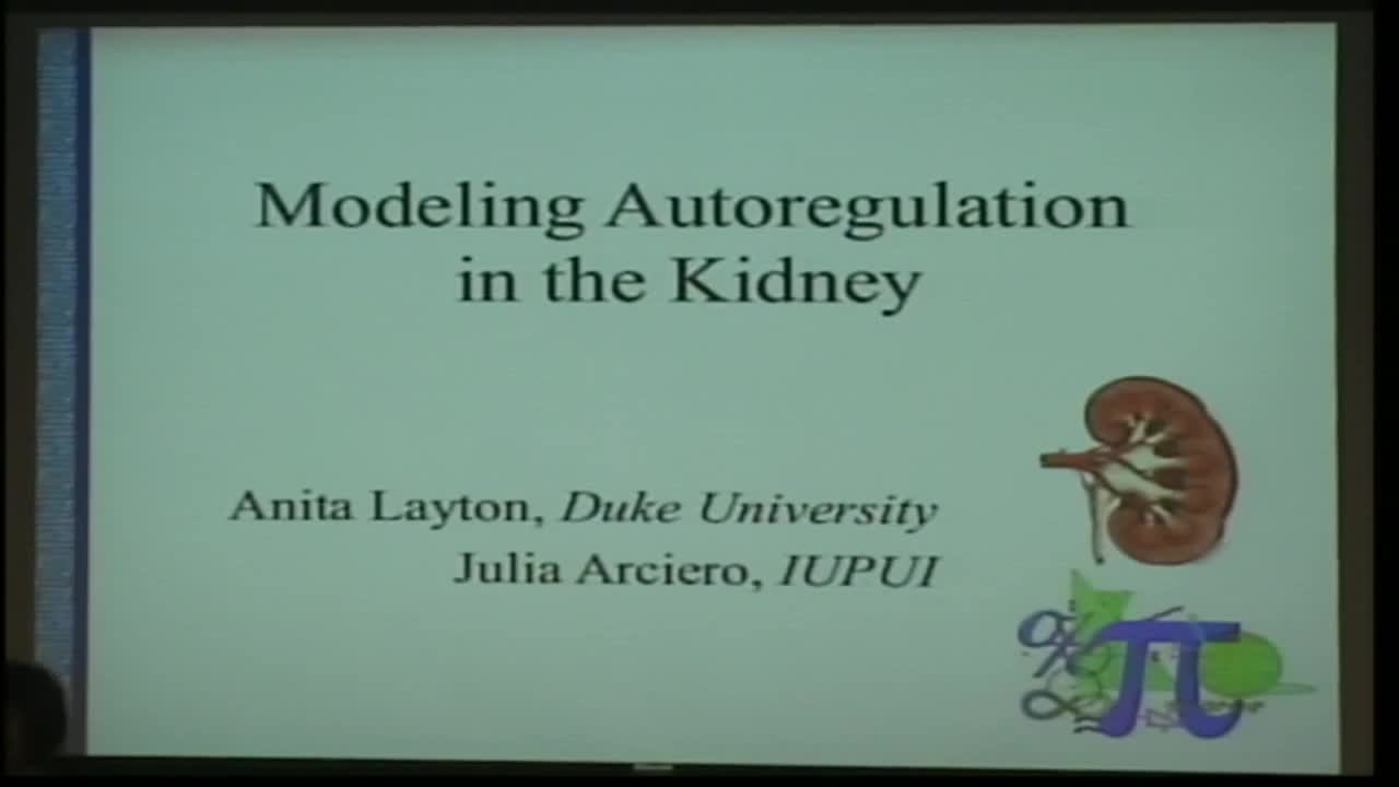 Modeling Autoregulation in the Kidney Thumbnail