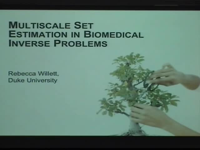 Multiscale Set Estimation in Biomedical Inverse Problems Thumbnail