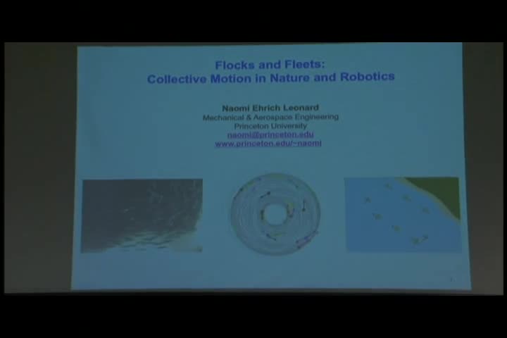 Flocks and Fleets: Collective Motion in Nature and Robotics Thumbnail