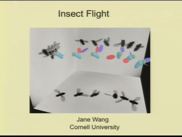 Tutorial: Introduction to insect flight Thumbnail