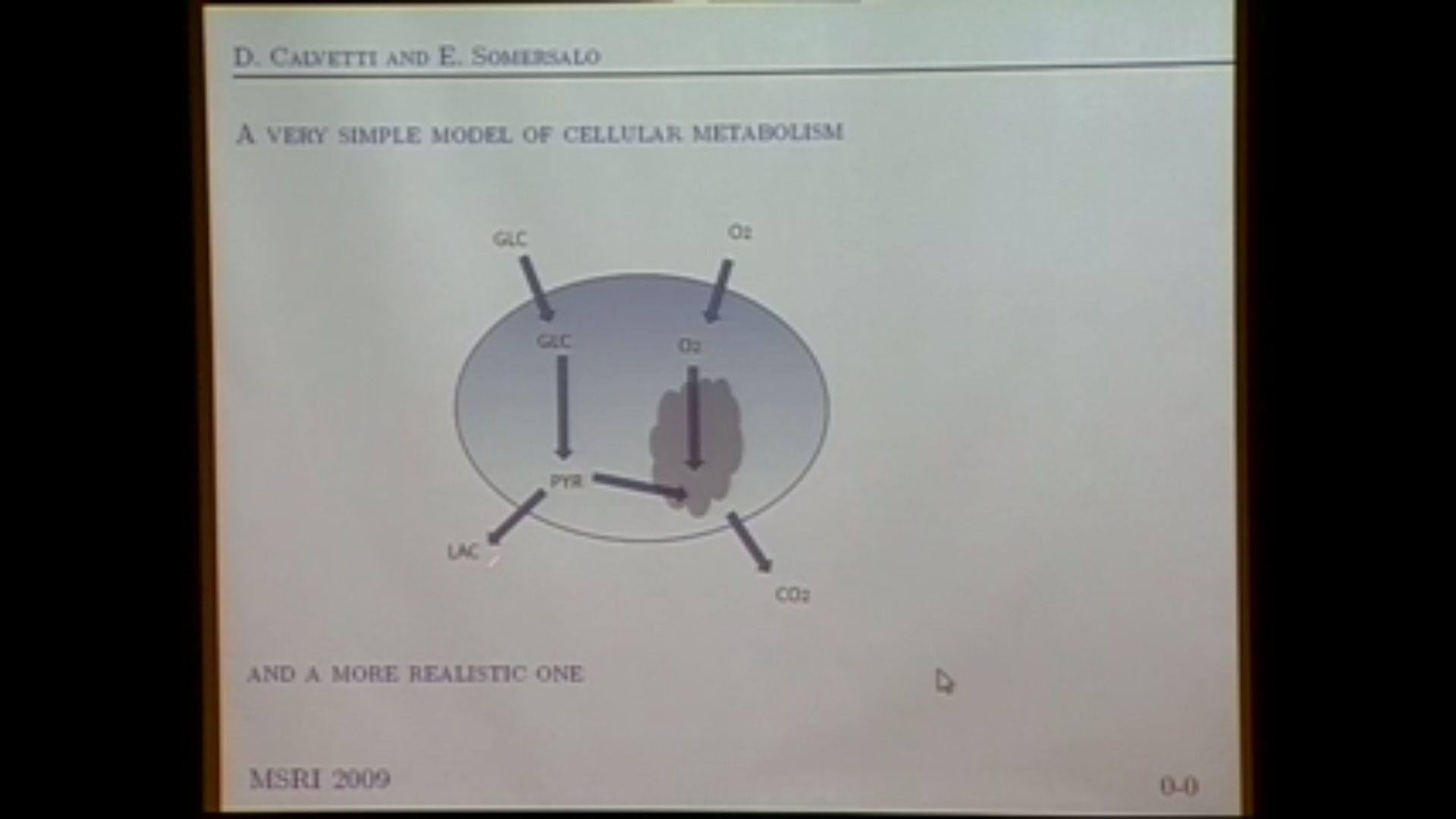 Inverse Problems - Calvetti & Somersalo II Thumbnail